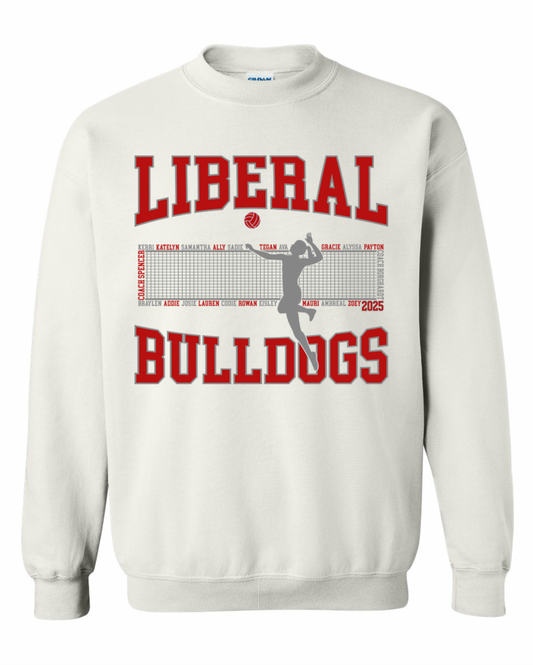 Liberal VB 2025 Gildan Crewneck Sweatshirt Adult, Youth, and Toddler